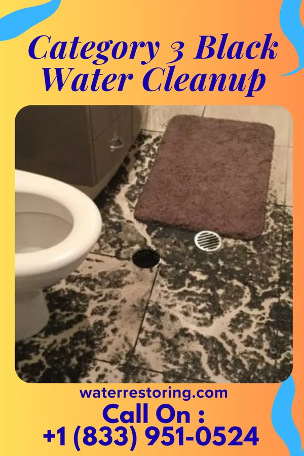 Category 3 Black Water Cleanup in Seiling, OK