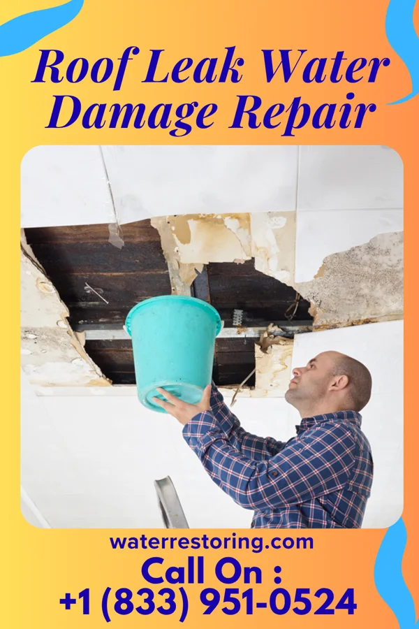 Roof Leak Water Damage Repair in Seiling, OK